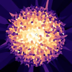 MDS TSP Voronoi tour length map